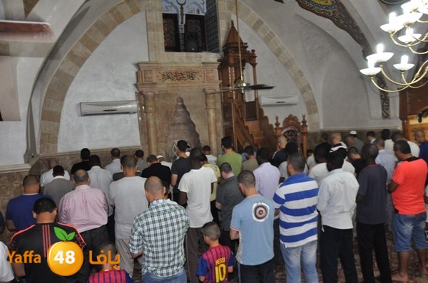 trawe7 mahmodiya 713 (14).JPG